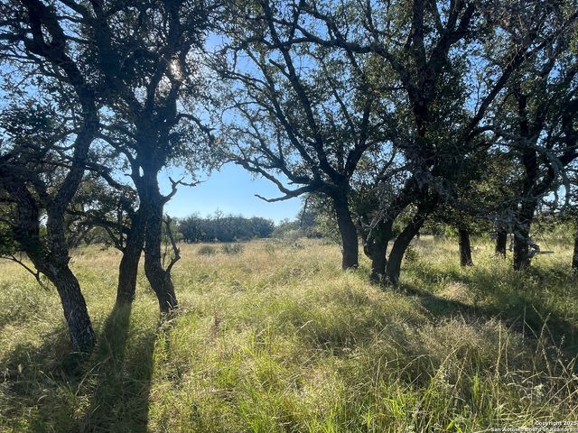 3200 Elm Springs Trl, Menard, TX 76859