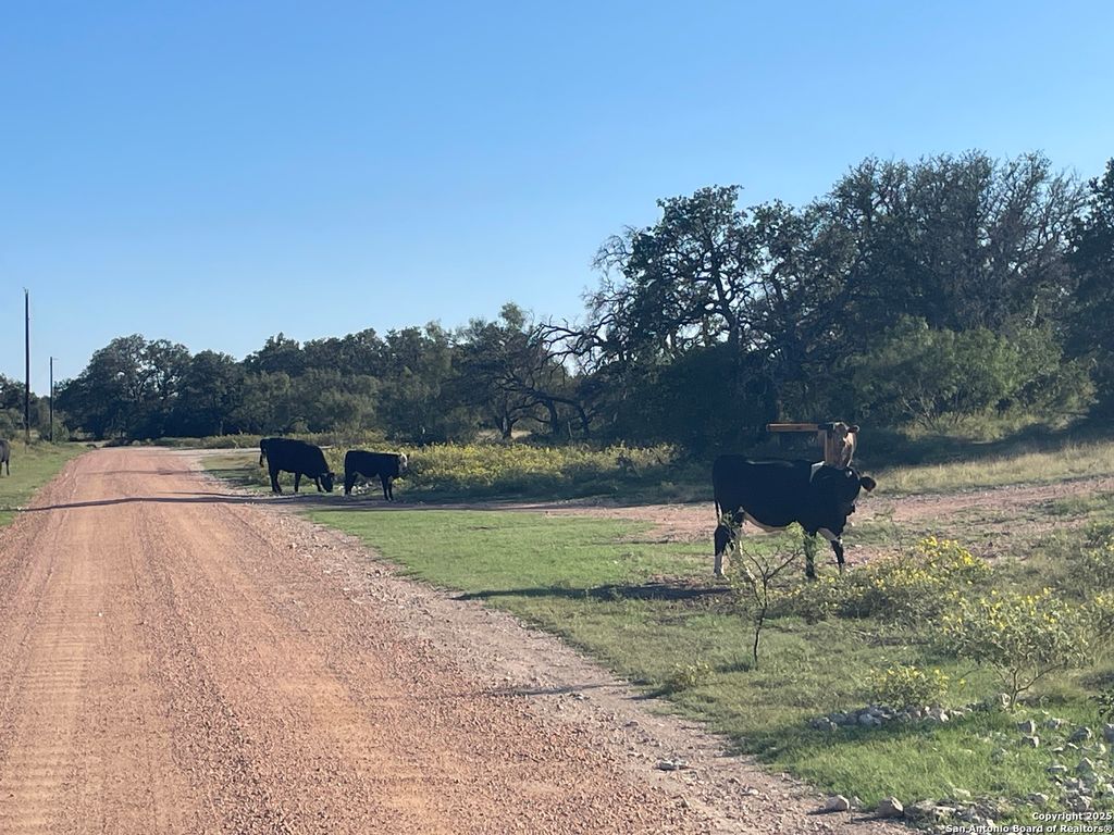 3200 Elm Springs Trl, Menard, TX 76859