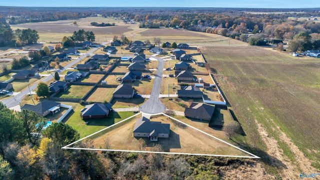 19469 Grassy Meadow Lane, Athens, AL 35613