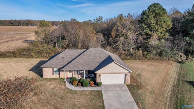 19469 Grassy Meadow Lane, Athens, AL 35613