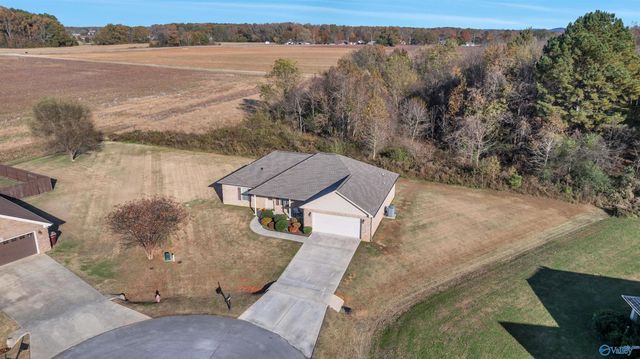 19469 Grassy Meadow Lane, Athens, AL 35613