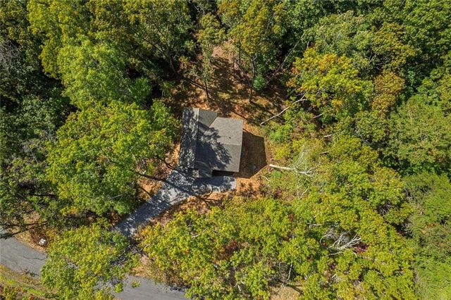 100 Crystal Oliver Lane, Cherry Log, GA 30522