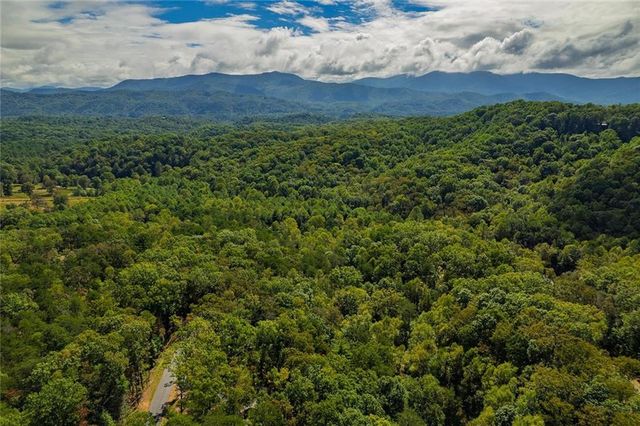 100 Crystal Oliver Lane, Cherry Log, GA 30522