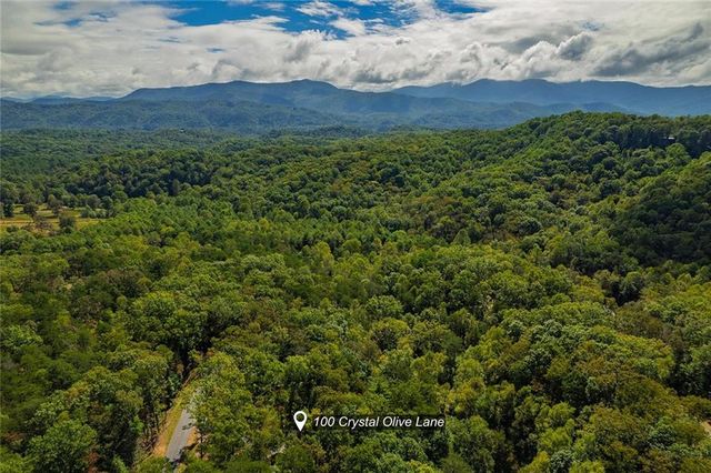100 Crystal Oliver Lane, Cherry Log, GA 30522
