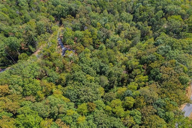 100 Crystal Oliver Lane, Cherry Log, GA 30522