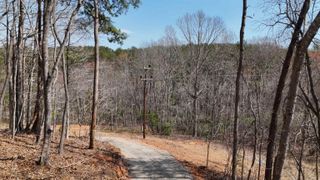 19.75 Acres King Stepp Road, Columbus, NC 28756