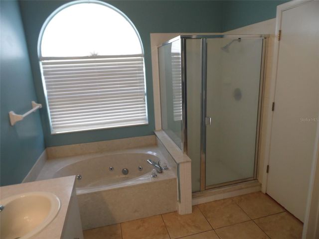 11020 FELTON COURT, Orlando, FL 32825