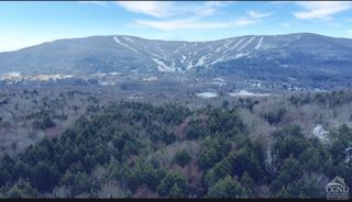 0 Homestead Lane, Windham, NY 12496