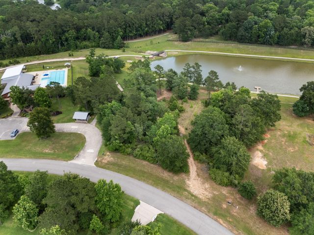 6919 Texas Trace, Montgomery, TX 77316