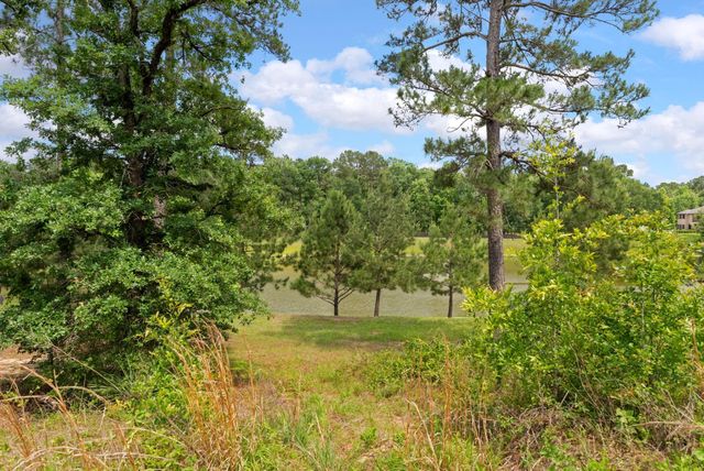 6919 Texas Trace, Montgomery, TX 77316
