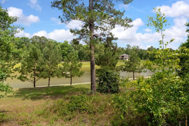 6919 Texas Trace, Montgomery, TX 77316