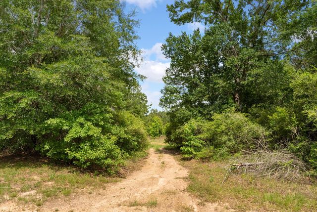 6919 Texas Trace, Montgomery, TX 77316