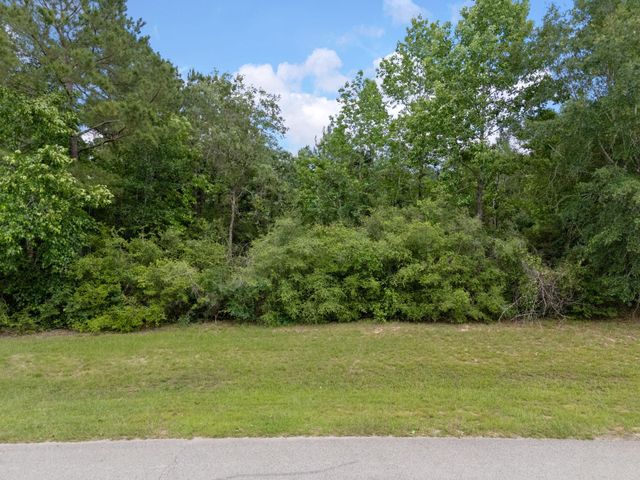 6919 Texas Trace, Montgomery, TX 77316