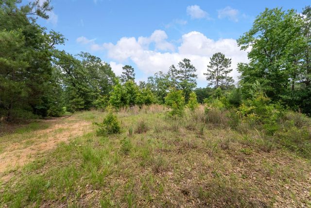 6919 Texas Trace, Montgomery, TX 77316