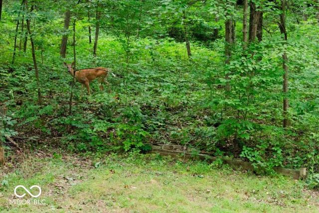 4523 E Parkwood Drive, Martinsville, IN 46151