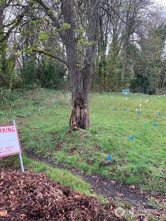 328 E 40th Street, Tacoma, WA 98404