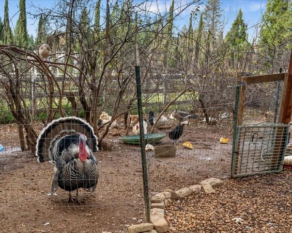 12555 Colfax Hwy, Grass Valley, CA 95945