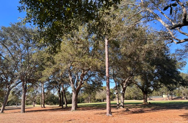 4129 Callaway Drive, Niceville, FL 32578