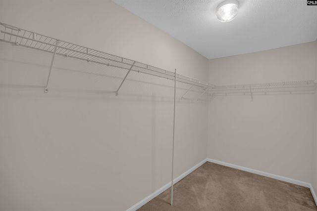 135 Magnolia Tree Road, Lexington, SC 29073