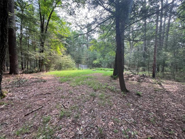 Barker Rd., Eldred, NY 12732