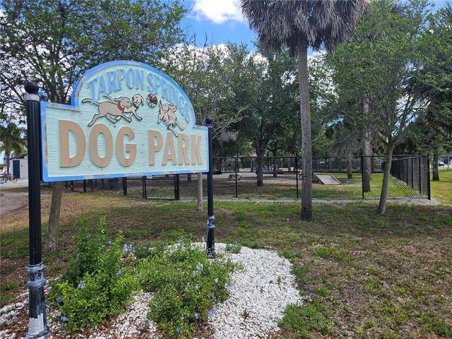 232 CYPRESS STREET, Tarpon Springs, FL 34689