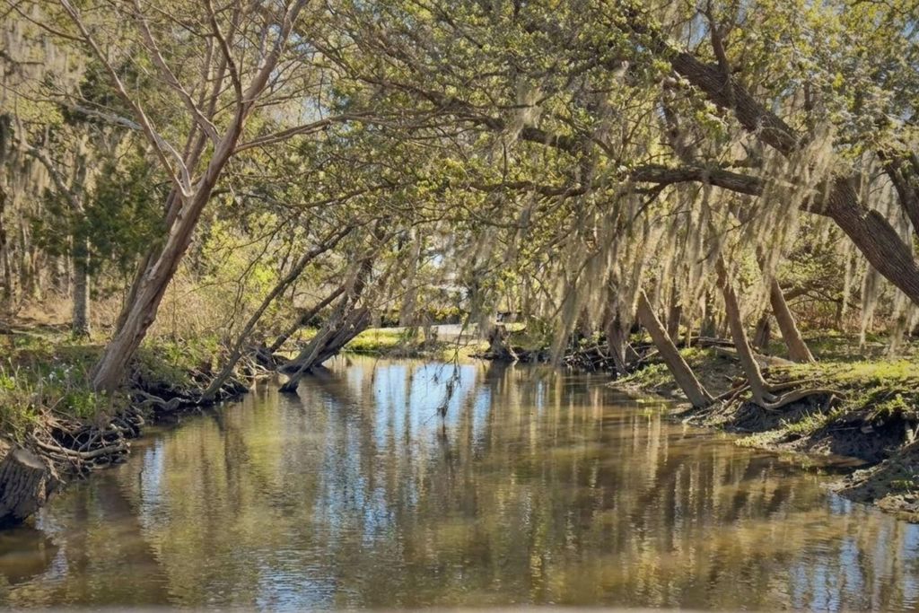 Image 53 of property listing at 6411 China Back Lane, Meggett, SC 29449