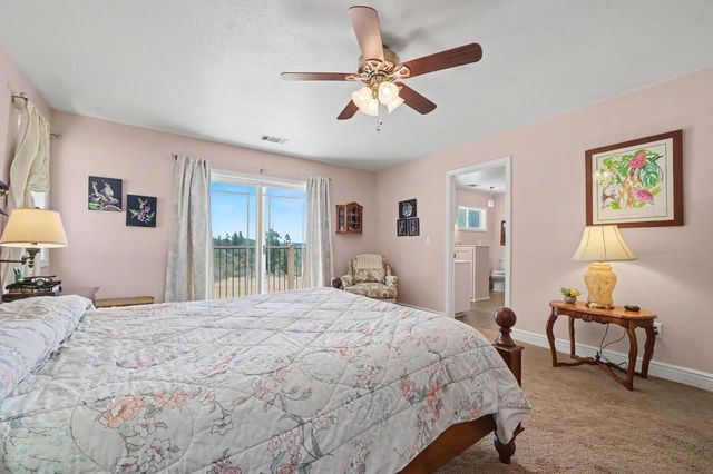 19484 Deerwood Dr, Volcano, CA 95689