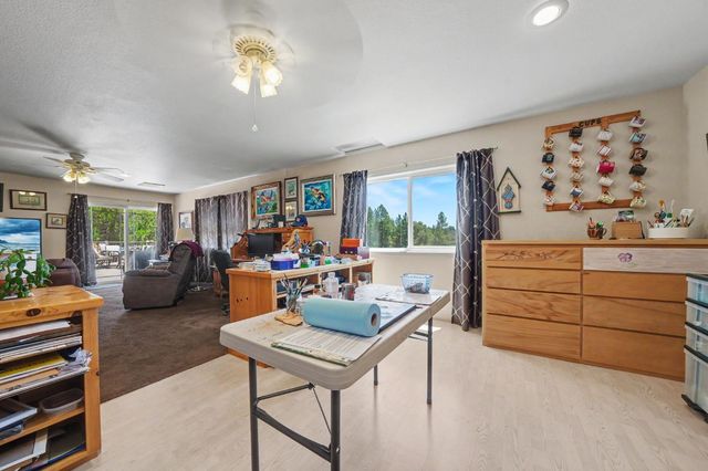 19484 Deerwood Dr, Volcano, CA 95689