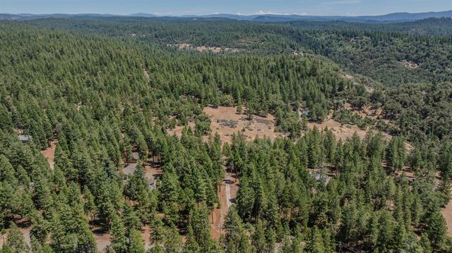 19484 Deerwood Dr, Volcano, CA 95689