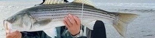 37 Lincoln Hwy, Wareham, MA 02571