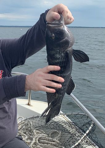 37 Lincoln Hwy, Wareham, MA 02571