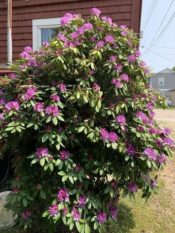 37 Lincoln Hwy, Wareham, MA 02571