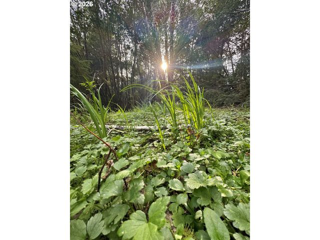 60958 Old Wagon Rd, Coos Bay, OR 97420