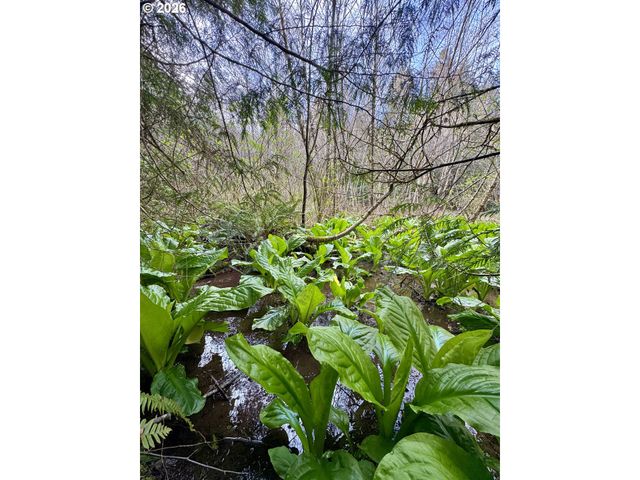 60958 Old Wagon Rd, Coos Bay, OR 97420