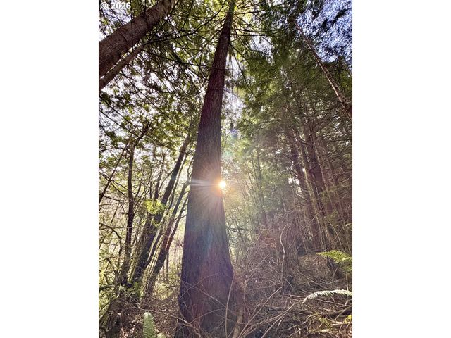 60958 Old Wagon Rd, Coos Bay, OR 97420