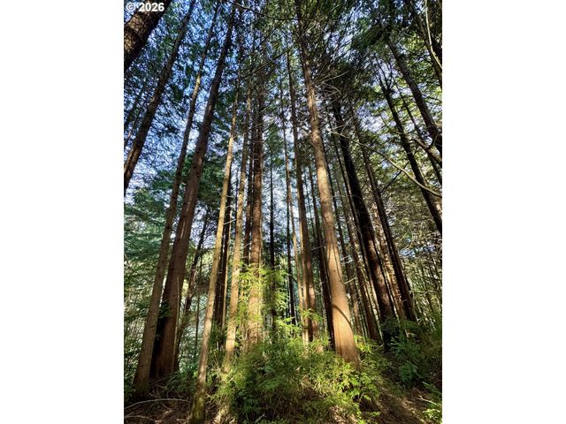 60958 Old Wagon Rd, Coos Bay, OR 97420