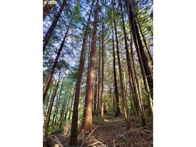 60958 Old Wagon Rd, Coos Bay, OR 97420