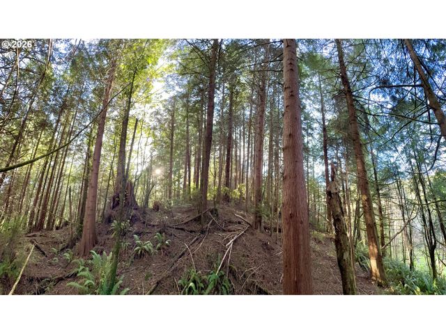 60958 Old Wagon Rd, Coos Bay, OR 97420