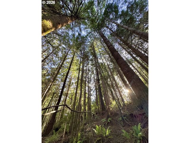 60958 Old Wagon Rd, Coos Bay, OR 97420