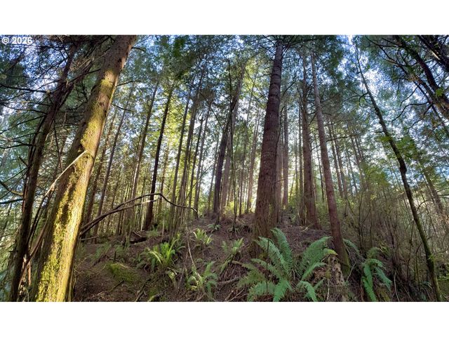 60958 Old Wagon Rd, Coos Bay, OR 97420