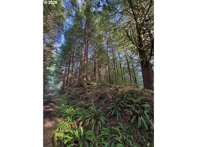 60958 Old Wagon Rd, Coos Bay, OR 97420