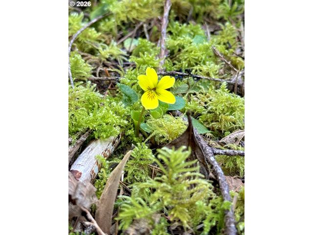 60958 Old Wagon Rd, Coos Bay, OR 97420