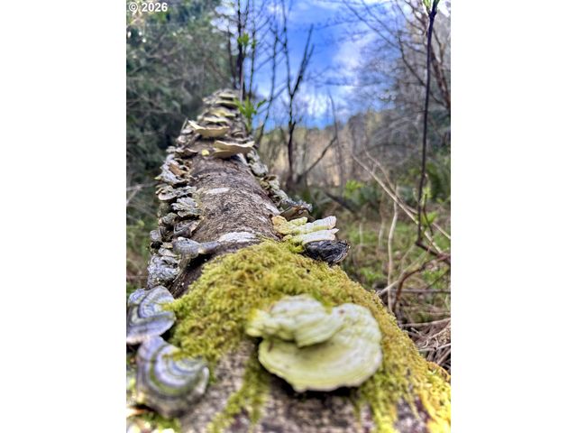 60958 Old Wagon Rd, Coos Bay, OR 97420