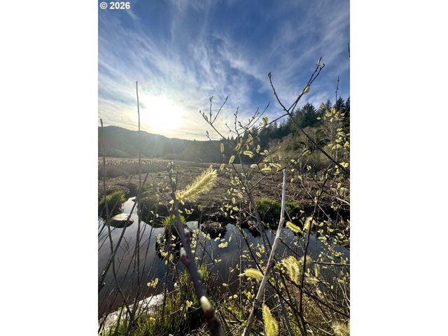 60958 Old Wagon Rd, Coos Bay, OR 97420