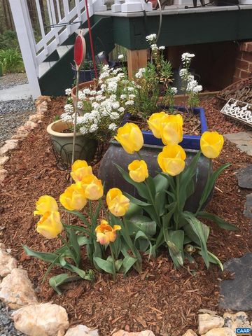 5864 WYANT LN, Charlottesville, VA 22903