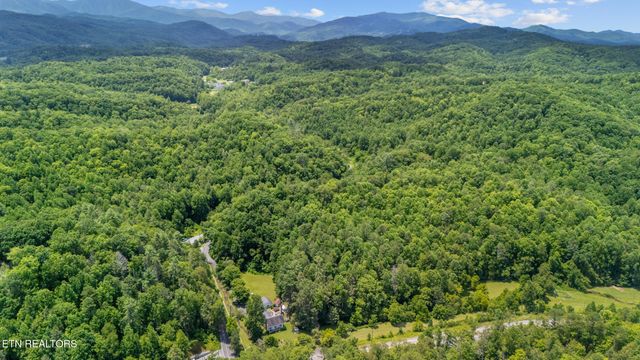 1139 Glades Rd, Gatlinburg, TN 37738