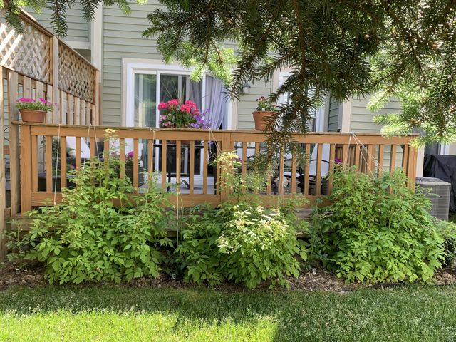 586 Liberty Pointe Drive, Ann Arbor, MI 48103