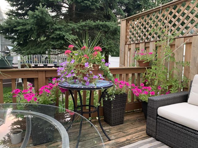 586 Liberty Pointe Drive, Ann Arbor, MI 48103