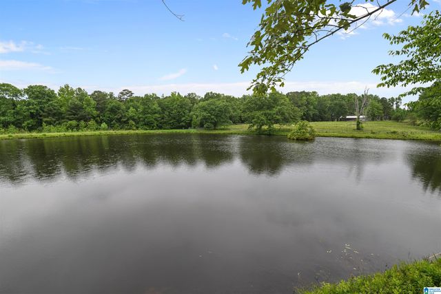 4576 COUNTY ROAD 42, Jemison, AL 35085