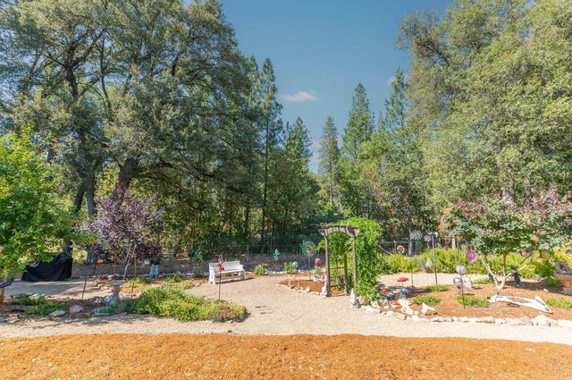 13610 Tony Ct, Pine Grove, CA 95665